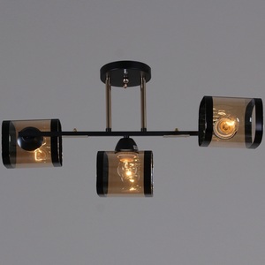 Изображение товара Потолочная люстра на штанге Reluce 09063-3.3-03 BK+FG