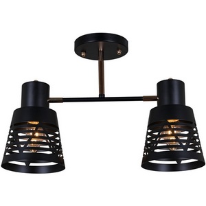 Изображение товара Потолочная люстра на штанге Reluce 06074-3.3-02 BK+FG