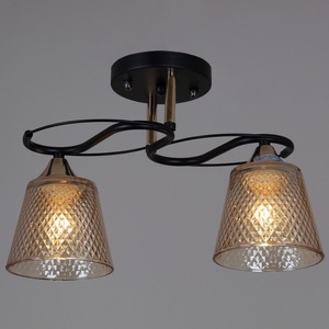 Изображение товара Потолочная люстра на штанге Reluce 06087-0.3-02 BK+FG