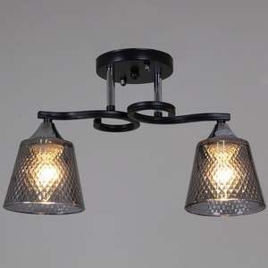 Изображение товара Потолочная люстра на штанге Reluce 06089-0.3-02 BK+CR