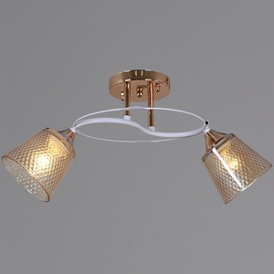 Изображение товара Потолочная люстра на штанге Reluce 06003-0.3-02 FG+WT