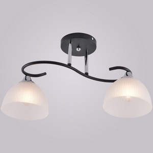 Изображение товара Потолочная люстра на штанге Reluce 01635-0.3-02 BK+CR