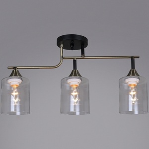 Изображение товара Потолочная люстра на штанге Reluce 02312-0.3-03 AB+BK