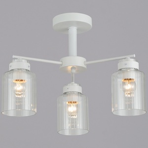 Изображение товара Потолочная люстра на штанге Reluce 17570-0.3-03