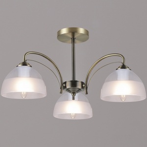 Изображение товара Потолочная люстра на штанге Reluce 27570-0.3-03