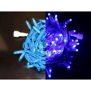 Изображение товара Гирлянда светодиодная синяя постоянного свечения 220B, LED, провод синий, IP65 Rich LED RL-S10C-220V-RB/B