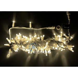 Изображение товара Гирлянда светодиодная белая постоянного свечения 24B, LED, провод прозрачный, IP65 Rich LED RL-S10C-24V-CT/WW