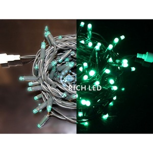 Изображение товара Гирлянда светодиодная зеленая постоянного свечения 24B, LED, провод зеленый, IP65 Rich LED RL-S10C-24V-RG/G
