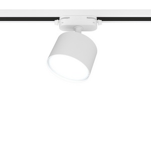 Изображение товара Трековый светильник однофазный 220V Ritter Artline 59857 6