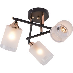 Изображение товара Потолочная люстра на штанге Rivoli Fiona 3163-303