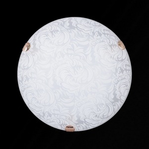 Изображение товара Настенно-потолочный светильник Sneha Перья мат (300) НПБ 01-2х60-001