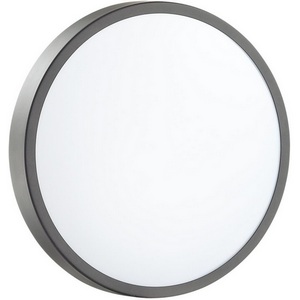 Изображение товара Настенно-потолочный светильник Sonex Smalli 3012/AL