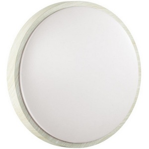 Изображение товара Настенно-потолочный светильник Sonex Losta 7628/AL