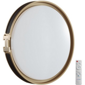 Изображение товара Настенно-потолочный светильник Sonex Favemo Black 7667/EL пластик/черн/золот LED 70Вт 3000-6000К D505 IP43 пульт ДУ