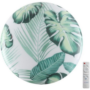 Изображение товара Настенно-потолочный светильник светодиодный Sonex Flori 7748/EL PALE SN пластик/белый/зеленый LED 70Вт 3000-6000К D480 IP43 пульт ДУ