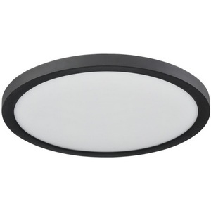 Изображение товара Потолочный светильник Sonex Nebula Black 7788/24L пластик/белый/черный LED 24Вт 3000/4000/6500К CCT/датчик движения