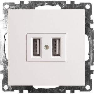 Изображение товара Розетка встраиваемая с USBх2 (белый) Stekker Катрин 39686