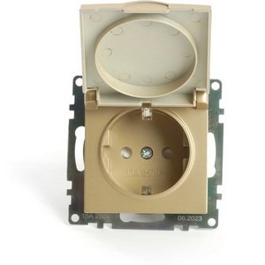 Изображение товара Розетка встраиваемая с заземлением и защитной крышкой (золото) Stekker Катрин 49222