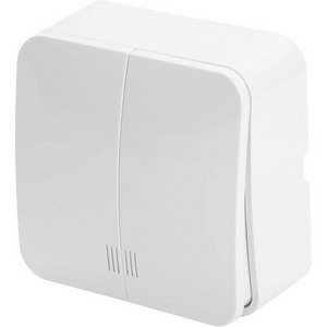 Изображение товара Выключатель накладной двухклавишный с подсветкой (белый) Stekker София 49290