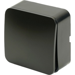 Изображение товара Выключатель накладной одноклавишный (черный) Stekker София 49291