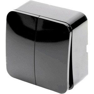 Изображение товара Выключатель накладной двухклавишный (черный) Stekker София 49293