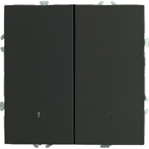 Изображение товара Выключатель встраиваемый двухклавишный с подсветкой (черный) Stekker Эмили 49838