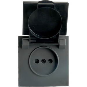 Изображение товара Розетка встраиваемая без заземления с защитной крышкой (черный) IP42 Stekker Эмили 49852