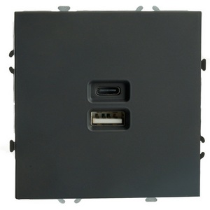 Изображение товара Розетка встраиваемая USB Type A+С (черный) Stekker Эмили 49853