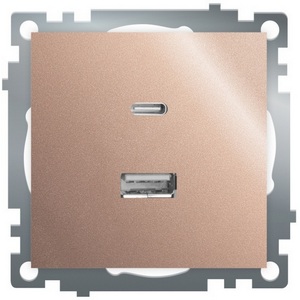 Изображение товара Розетка USB Type A+С (шампань) Stekker Катрин 50056