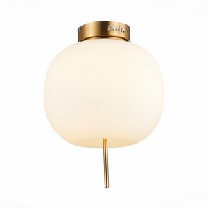 Изображение товара Потолочная люстра светодиодная ST Luce Lacus SL1621.202.01 в форме шара