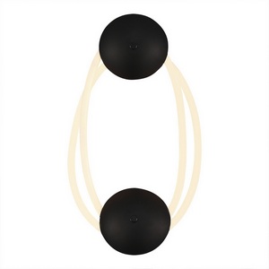 Изображение товара Настенный светильник с гибким неоном ST Luce Sagrato SL6102.421.30 Черный/Белый LED 1*30W 3000K