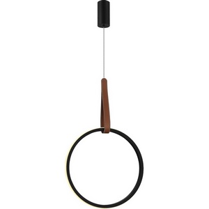 Изображение товара Светильник подвесной ST Luce Shape SL6131.403.20 Черный/Черный, Терракотовый LED 1*20W 4000K кольцо