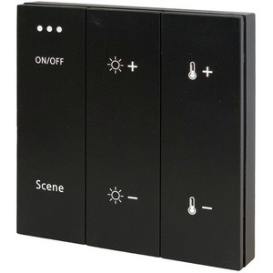 Изображение товара Панель управления Skyline 220 ST015.400.99