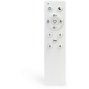 Изображение товара Пульт управления Skyline 220 ST015.500.98