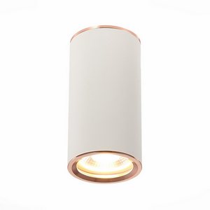 Изображение товара Накладной светильник ST Luce Chomus ST111.527.01