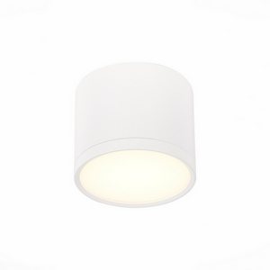 Изображение товара Накладной светильник светодиодный ST Luce Rene ST113.532.09