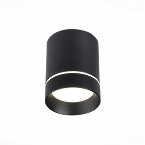 Изображение товара Накладной светильник светодиодный ST Luce St115 ST115.432.12