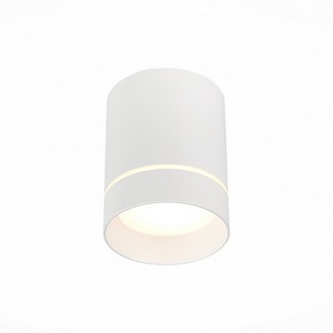 Изображение товара Точечный светильник светодиодный накладной ST Luce St115 ST115.532.12