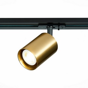 Изображение товара Трековый однофазный светильник 220V ST Luce St302 ST302.206.01