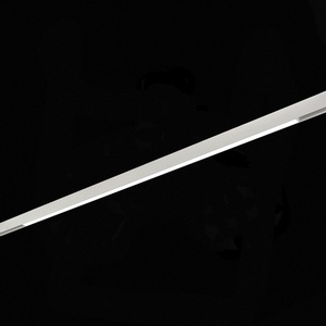 Изображение товара Трековый светильник светодиодный магнитный ST Luce Skyline 48V ST370.506.36