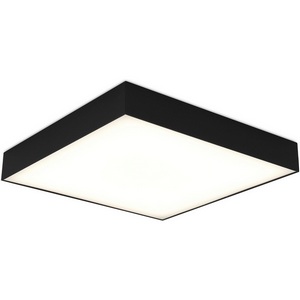 Изображение товара Потолочный светильник светодиодный ST Luce ST608.442.48 Черный LED 1*48W