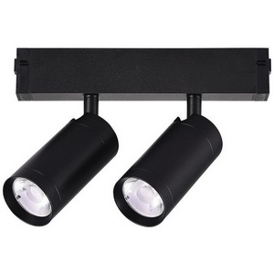 Изображение товара Точечный светильник с 2 лампами ST Luce Skyline 220 ST660.486.20 SMART черный LED 2*10W 2700K-6000K 220V