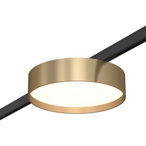 Изображение товара Магнитный трековый светильник ST Luce Super5 ST670.336.12 Латунь LED 1*12W 24V