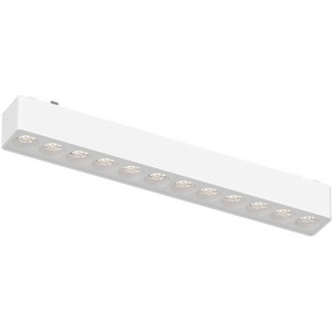 Изображение товара Магнитный трековый светильник ST Luce Skyflat белый LED 1*12W 48V