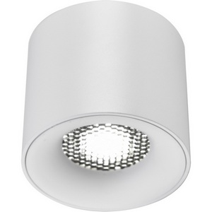 Изображение товара Светильник потолочный ST Luce ST761.533.10 белый LED 1*10W 3000K
