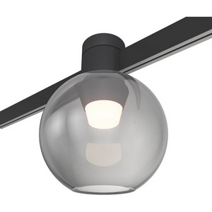 Изображение товара Магнитный трековый светильник 24V ST Luce Farm ST819.406.03 черный LED 1*3W