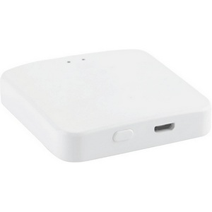 Изображение товара Шлюз SWG SLIM R-GW-WF-ZGBT