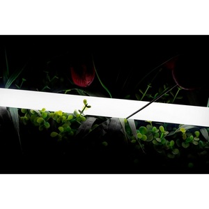 Изображение товара Гибкий неон SWG 360 SWG-2360-24-NW-66