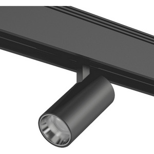 Изображение товара Трековый светильник низковольтный светодиодный 24V SWG SY SY-601201-BL-10-36-NW