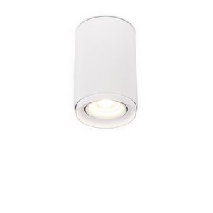 Изображение товара Накладной светильник Simple Story 2065 2065-1CLW